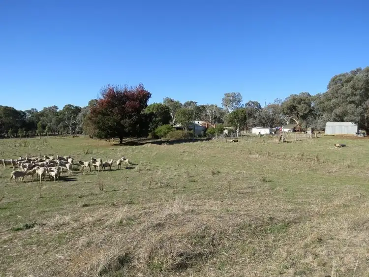 Second view of Homely rural property listing, 3716 Lachlan Valley Way, Godfreys Creek NSW 2586