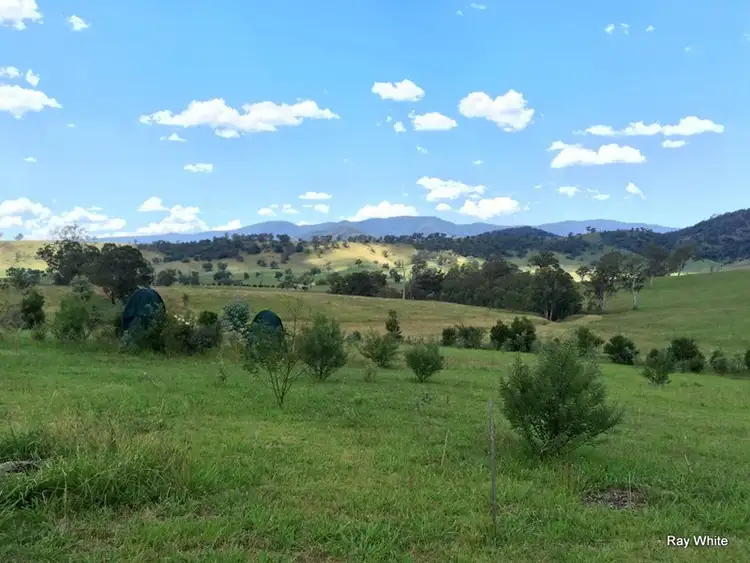 Third view of Homely rural property listing, 800 Neringla Road, Araluen NSW 2622