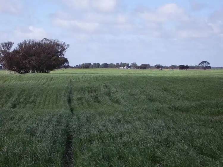 Fourth view of Homely rural property listing, Sec. 75 Senior Road, Bordertown SA 5268