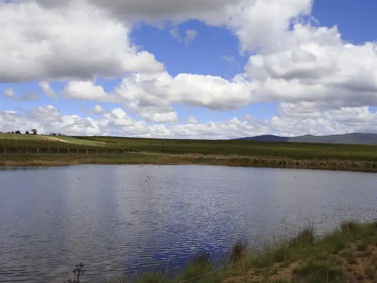 Seventh view of Homely rural property listing, 89 Days Road, Ballandean QLD 4382