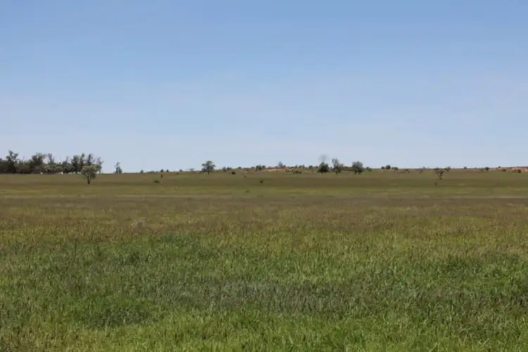 Second view of Homely rural property listing, 4895 TEELBA Road, Glenmorgan QLD 4423