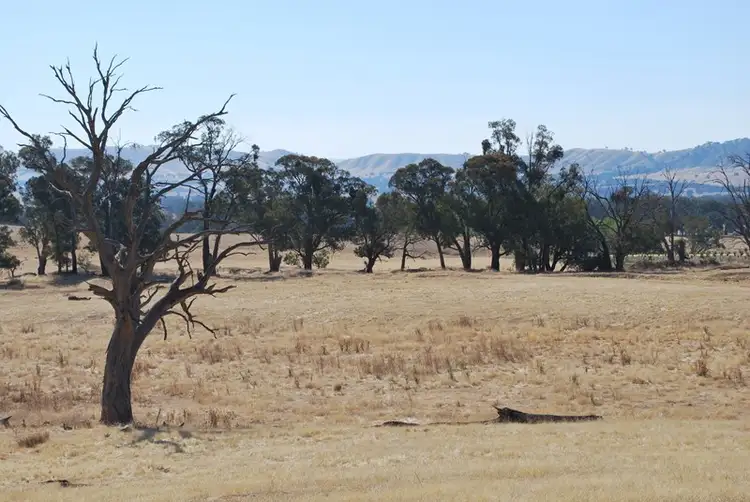 Main view of Homely rural property listing, Top Paddock Rae Road, Murmungee VIC 3747