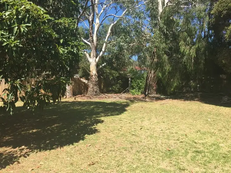 Third view of Homely house listing, 29 Wattle Road, Mccrae VIC 3938