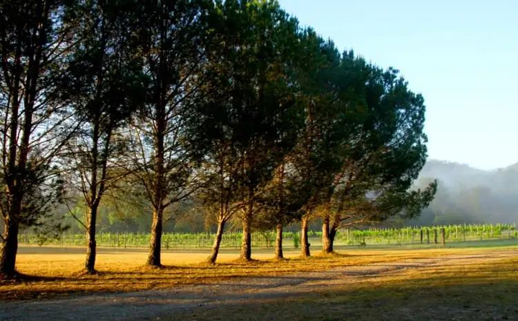 Fourth view of Homely rural property listing, Address available on request