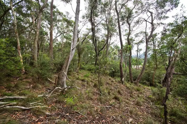 Third view of Homely land listing, Lot 17 Victoria Street, Mount Victoria NSW 2786