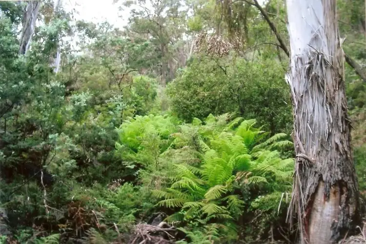 Fourth view of Homely land listing, 1020 Barry Road, Hanging Rock NSW 2340