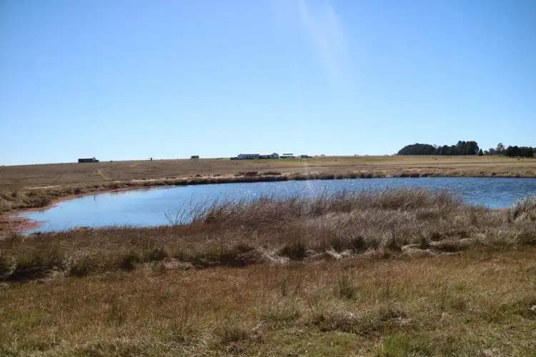 Third view of Homely rural property listing, 76 Glen Elm Drive, Glen Innes NSW 2370