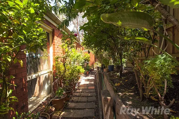 Seventh view of Homely unit listing, 3/10A Reynolds Avenue, Ringwood VIC 3134