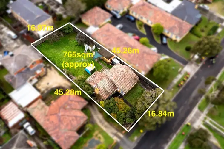 19 Morton Street, Clayton VIC 3168