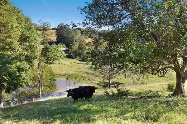 Fifth view of Homely land listing, 583 Piggabeen Road, Piggabeen NSW 2486