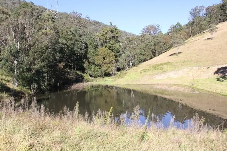 Fourth view of Homely rural property listing, 10201 Bruxner Highway, Tenterfield NSW 2372