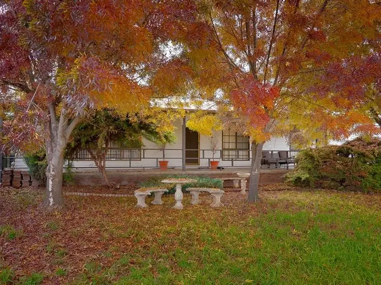 Sixth view of Homely house listing, 62 Pearce Street, Howlong NSW 2643