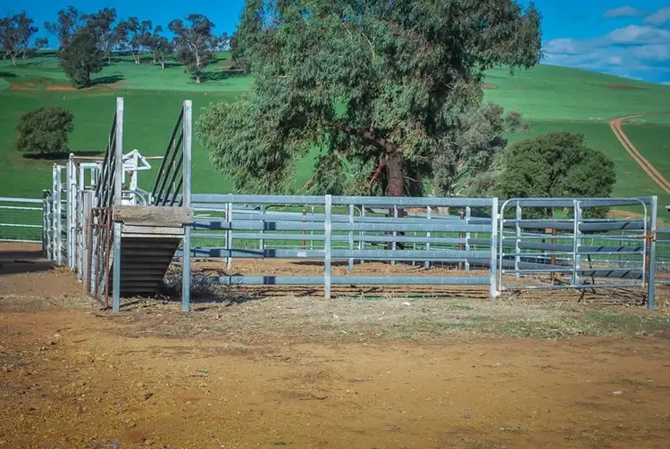 Fourth view of Homely rural property listing, 4435 The Escort Way, Cudal NSW 2864