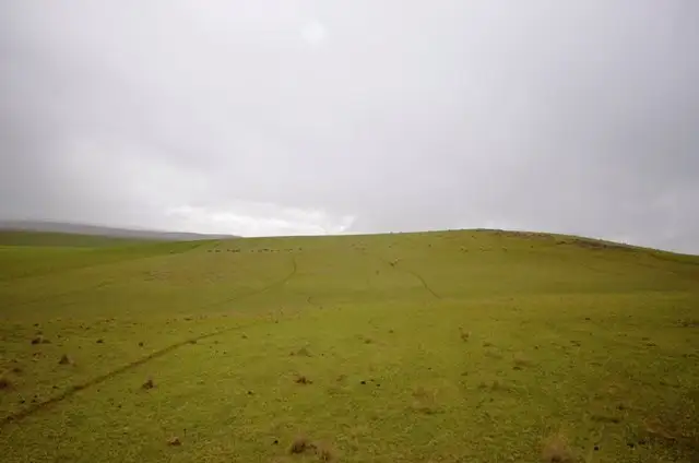 Fourth view of Homely rural property listing, "Pfitzners" Range Road, Eudunda SA 5374