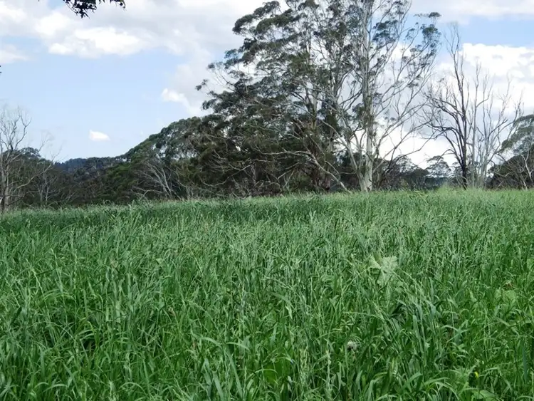 Seventh view of Homely rural property listing, Address available on request