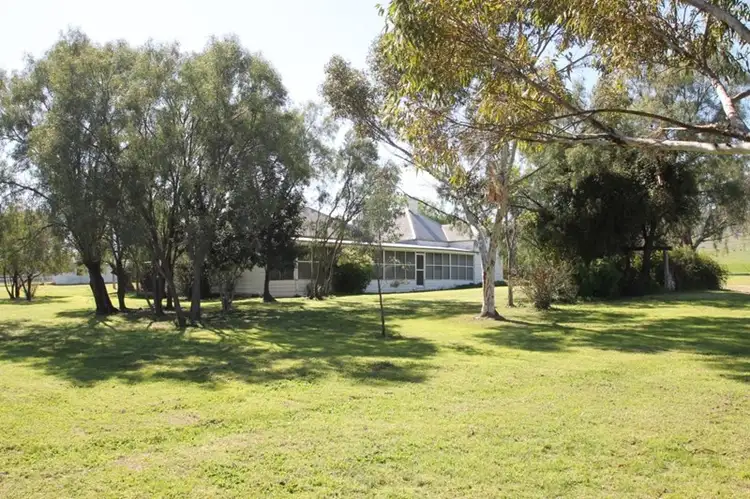 Main view of Homely rural property listing, 264 Black Gully Road, Werris Creek NSW 2341