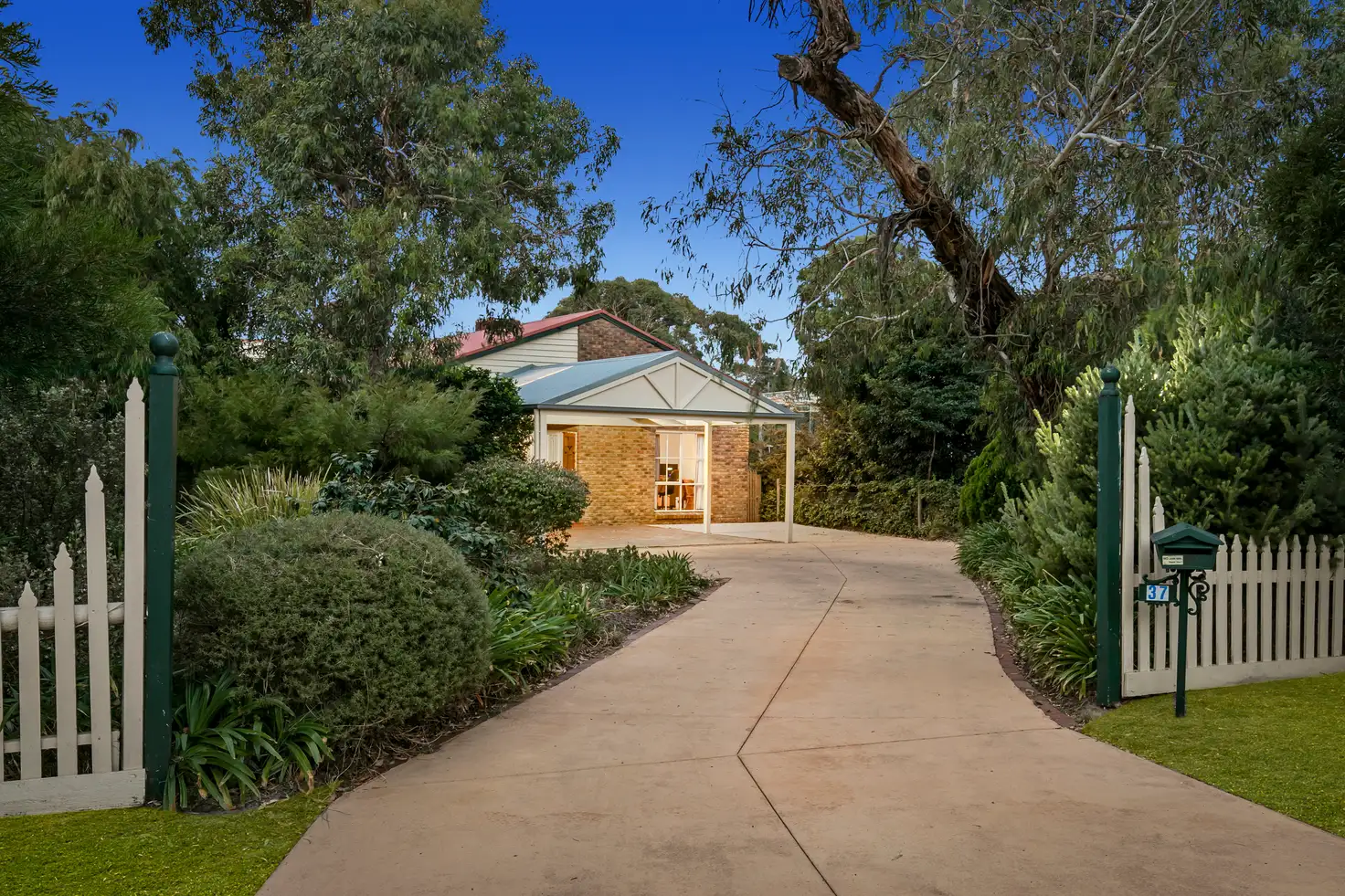 Main view of Homely house listing, 37 Marguerita Avenue, Mount Martha VIC 3934