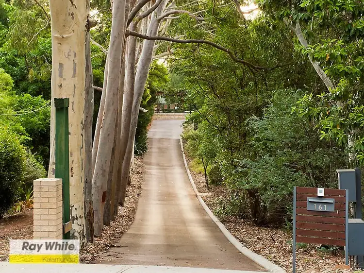 Fifth view of Homely house listing, 161 Railway Road, Gooseberry Hill WA 6076