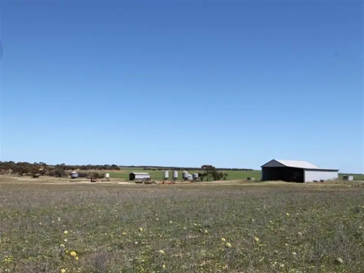 Third view of Homely rural property listing, Section 31 Wudinna Road, Darke Peak SA 5642