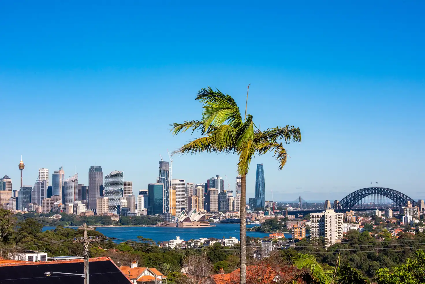 Main view of Homely house listing, 11A Ruby Street, Mosman NSW 2088