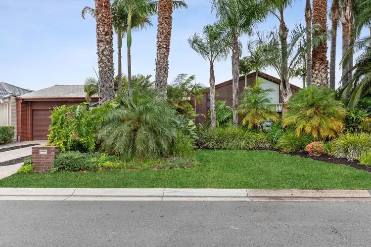 Main view of Homely house listing, 5 Reynolds Place, Grange SA 5022