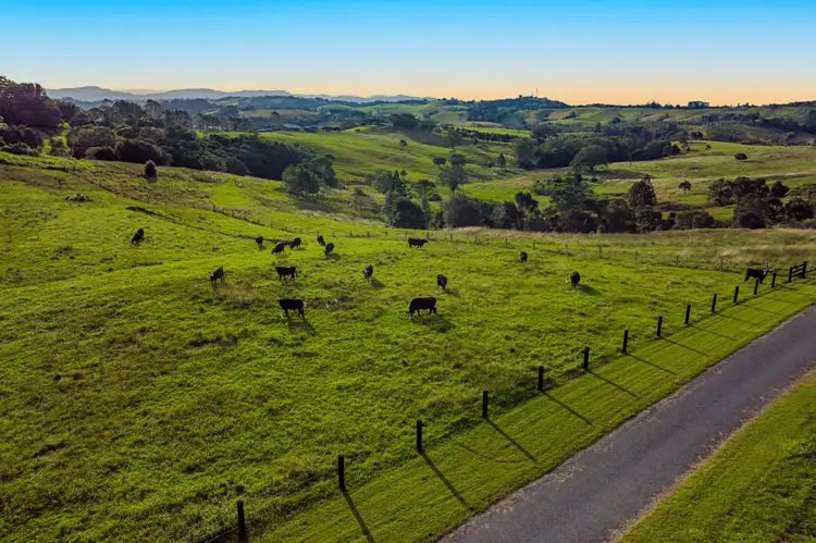 Sixth view of Homely land listing, LOT 2, 384 Coopers Shoot Road, Coopers Shoot NSW 2479