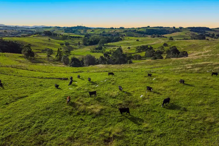 Seventh view of Homely land listing, LOT 2, 384 Coopers Shoot Road, Coopers Shoot NSW 2479