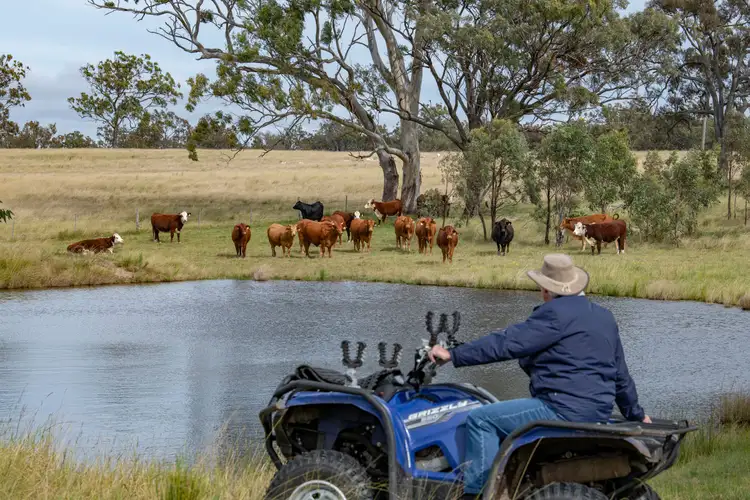 20463 New England Highway, The Glen QLD 4370