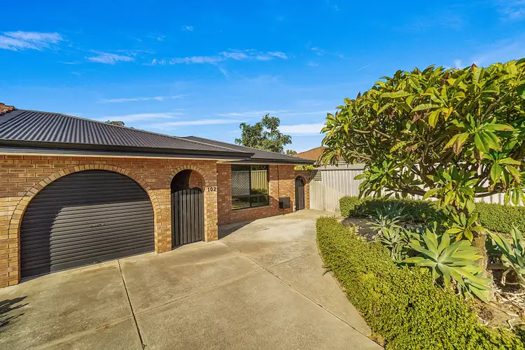 Main view of Homely house listing, 102 Cedric Street, Stirling WA 6021