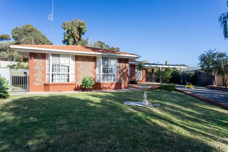 11 Najar Court, Berri SA 5343