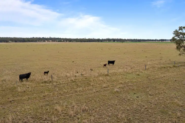 Fourth view of Homely rural property listing, 772 Boondandilla Road, Millmerran QLD 4357