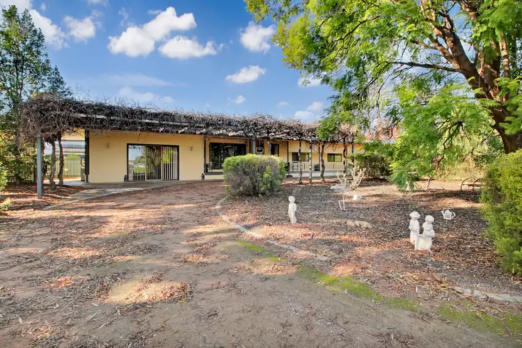 493 Chowilla Street, Renmark SA 5341