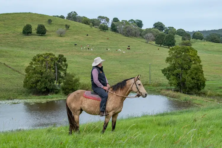 Third view of Homely rural property listing, 206 Neusavale Road, Wolvi QLD 4570