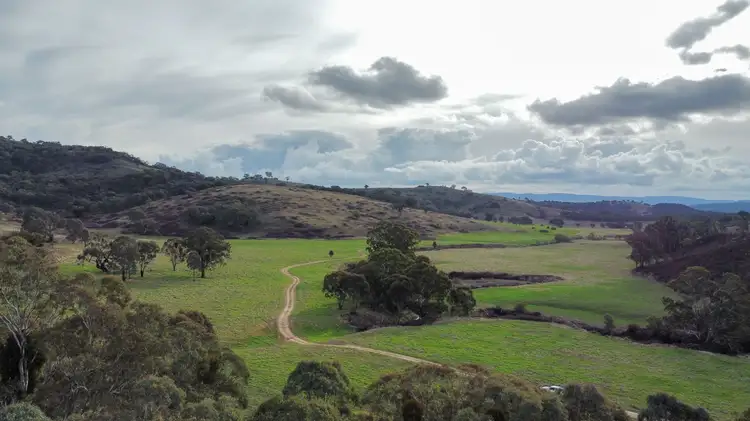 Main view of Homely rural property listing, 3421 Freemantle Road, Gowan NSW 2795