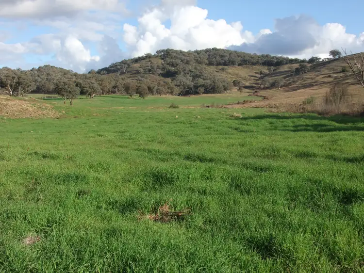 Second view of Homely rural property listing, 3421 Freemantle Road, Gowan NSW 2795