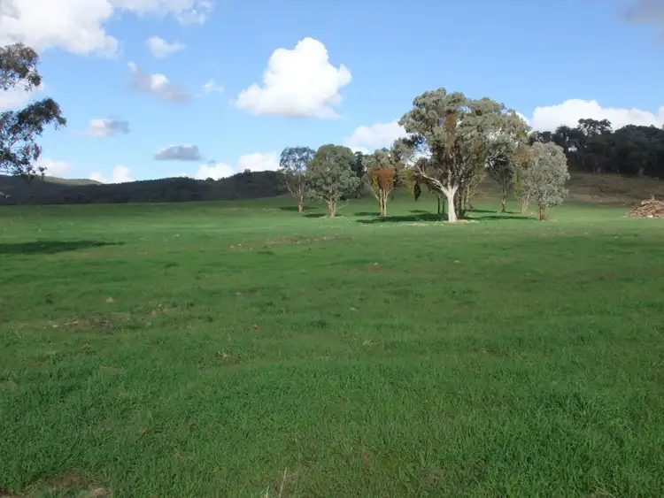 Third view of Homely rural property listing, 3421 Freemantle Road, Gowan NSW 2795