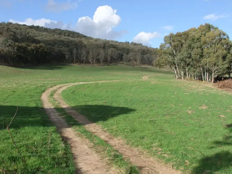 Fourth view of Homely rural property listing, 3421 Freemantle Road, Gowan NSW 2795