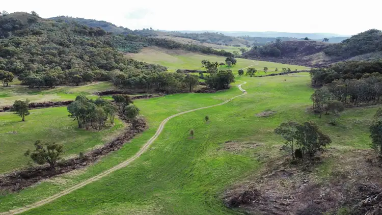 Sixth view of Homely rural property listing, 3421 Freemantle Road, Gowan NSW 2795