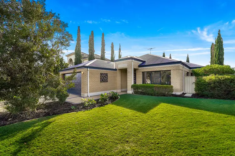 23 Balsam Link, Stirling WA 6021