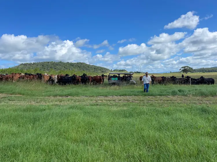 Third view of Homely rural property listing, 84 Austin Road, Walkerston QLD 4751