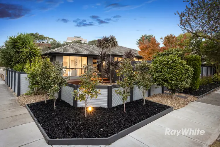 Main view of Homely house listing, 3/25 Chestnut Street, Carnegie VIC 3163