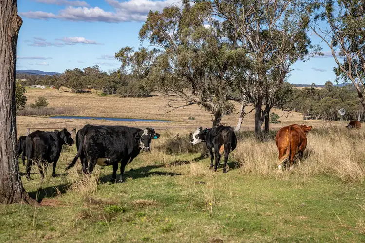 580 Odeas Road, Elbow Valley QLD 4370