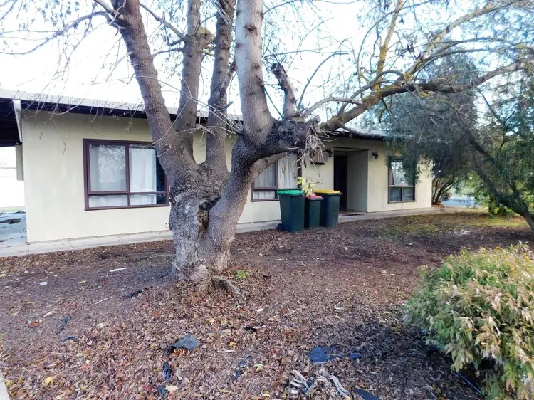 Main view of Homely house listing, 30 Bertha Street, Bordertown SA 5268