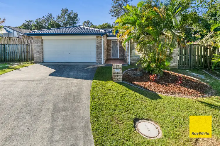 Main view of Homely house listing, 19 Nolan Place, Calamvale QLD 4116