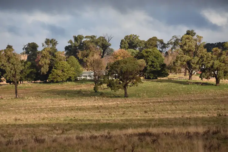 Third view of Homely rural property listing, 90 Sunset Hills Road, Neville NSW 2799