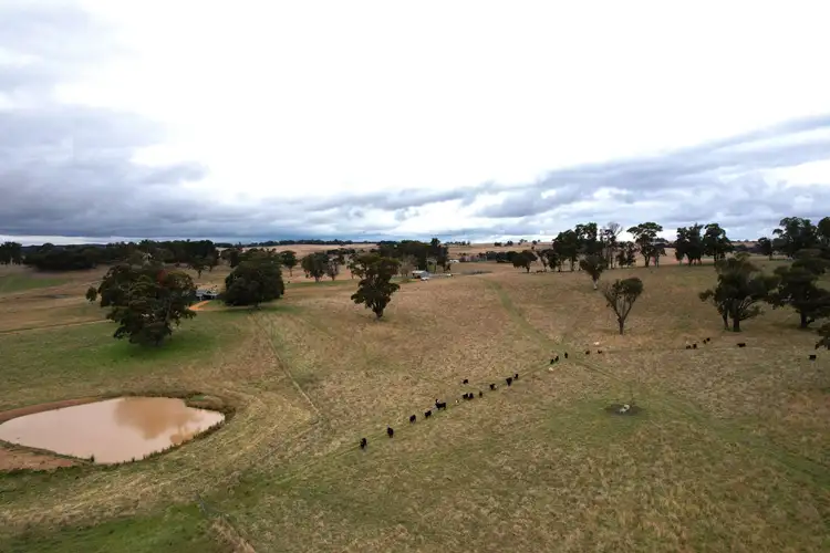 Fourth view of Homely rural property listing, 90 Sunset Hills Road, Neville NSW 2799