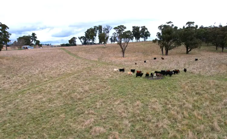 Seventh view of Homely rural property listing, 90 Sunset Hills Road, Neville NSW 2799
