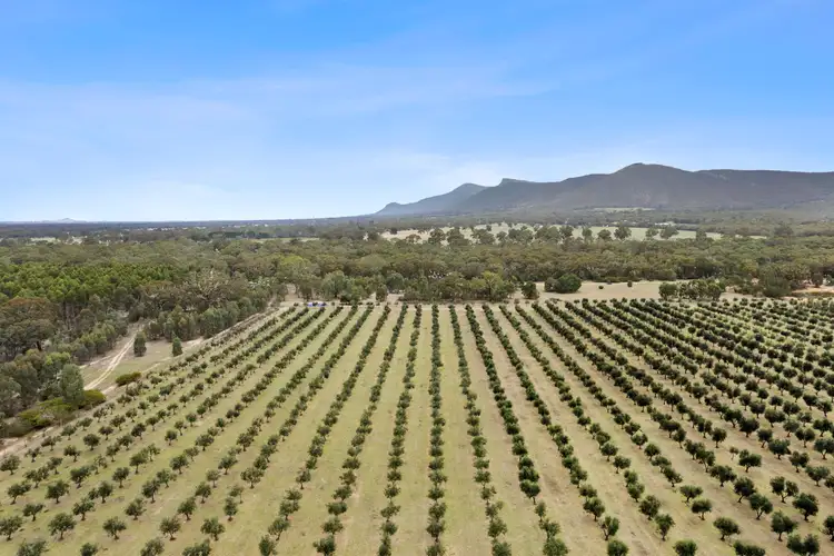 Second view of Homely rural property listing, 3594 Ararat - Halls Gap Road, Pomonal VIC 3381