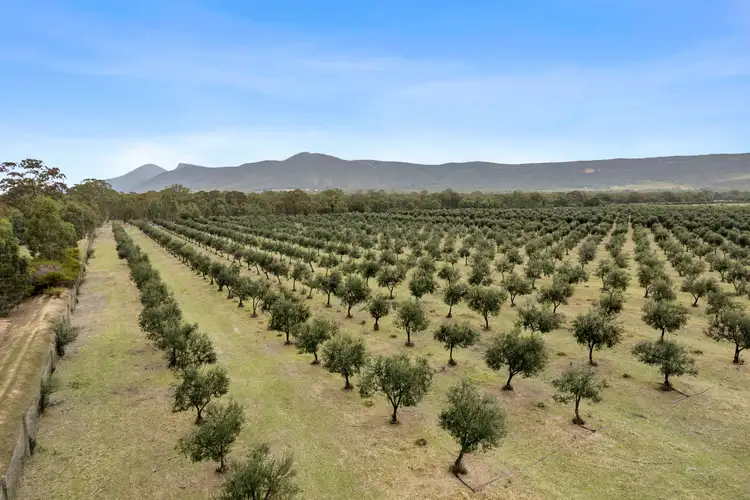Third view of Homely rural property listing, 3594 Ararat - Halls Gap Road, Pomonal VIC 3381