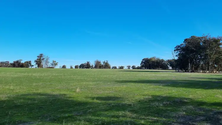 Sixth view of Homely rural property listing, 164 Capercup Road South, Duranillin WA 6393